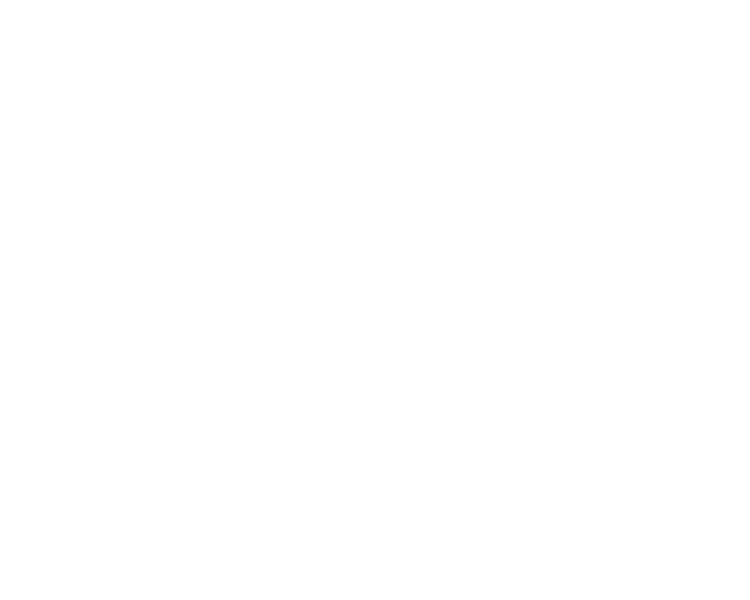 Mini-Entrepôts Bazinet Inc.
